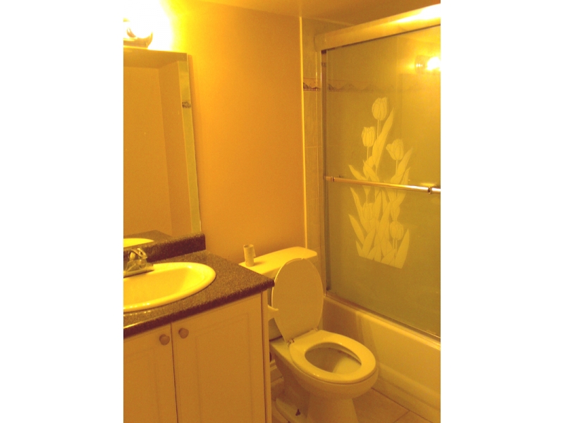 洗手间-【出租】温哥华东区近Langara College