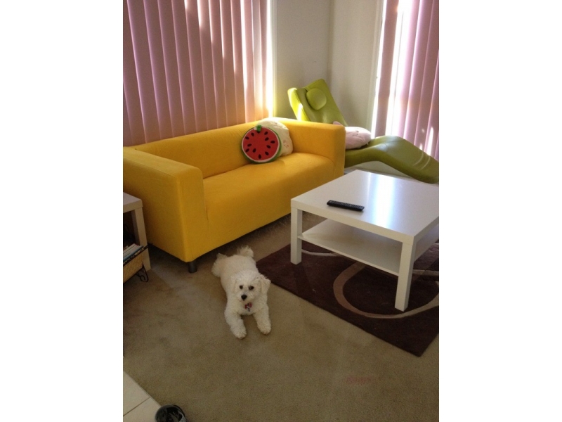 房,Melbourne找房,招租MEL-Springvale步行3分