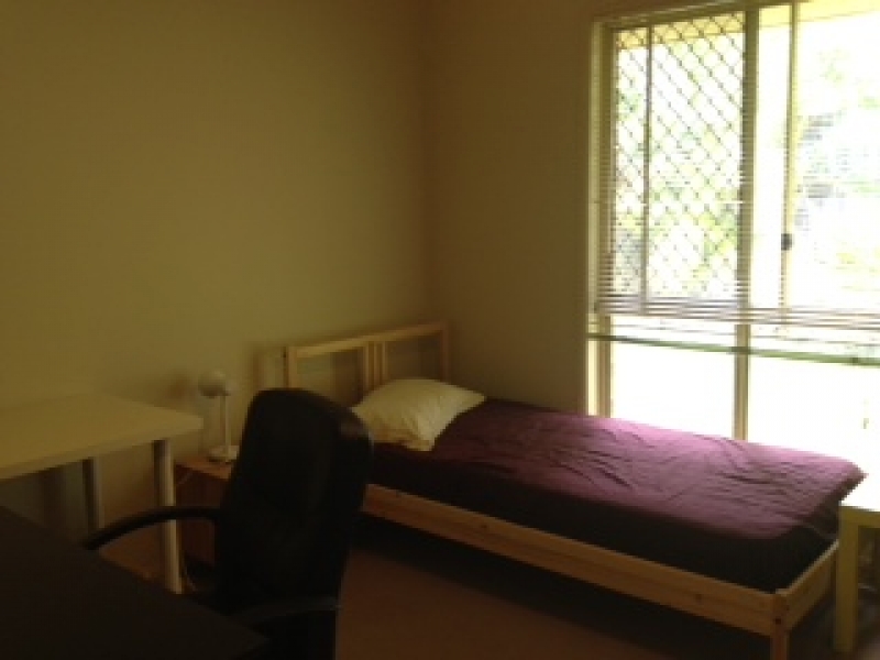 room-近格里菲斯大学单人间招租 $135 per we