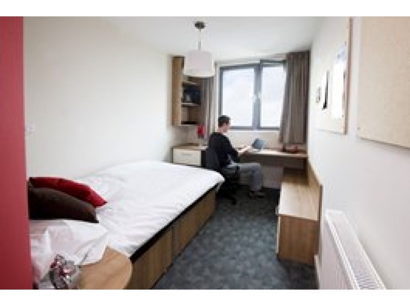 CAMPSIE租房,CAMPSIE出租UNIT 单房100一