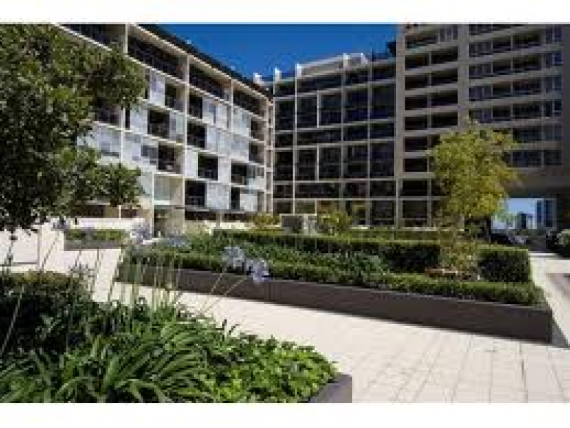 悉尼租房,Sydney找房,招租超抢手waterloo高级