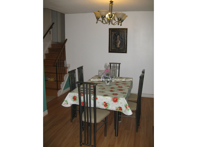 多伦多租房,Toronto找房,招租学生如家,米兰大