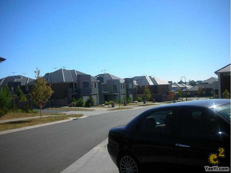 墨尔本租房,Melbourne找房,招租BURWOOD全