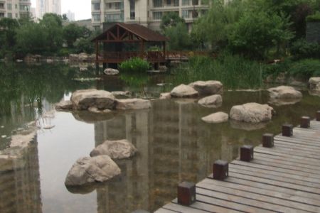 上海找房,招租静安区中凯城市之光出租,威海路