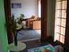 ī����Cityѧ