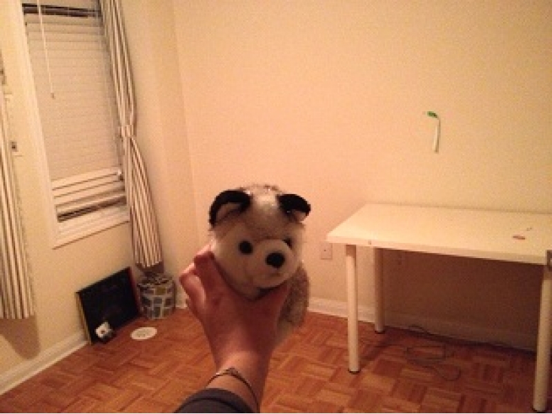 多伦多租房,Toronto找房,招租多市3分钟到ward