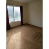 三藩市2房出租 (3房独立屋) 三藩市2房出租 (3房独立屋)