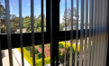 Meadowbank 水边公寓 一单人间水景房出租 250/w Meadowbank 水边公寓 一单人间水景房出租 250/w