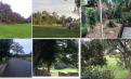Dundas Valley 个人 出租 单间 $150per/week Dundas Valley 个人 出租 单间 $150per/week