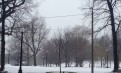 Boston Commons对面的公寓房转租 Boston Commons对面的公寓房转租