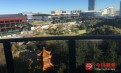 Haymarket Sydney 达令港高层无敌View 半年租约 Haymarket Sydney 达令港高层无敌View 半年租约