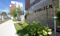 167 king street north, 一间卧室转租, walking distance to University of Laurier