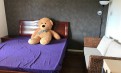 招HOMESTAY 近city 招HOMESTAY 近city