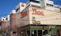 Hurstville位置极其优越的unit单间出租或整租,双人$220一周 Hurstville位置极其优越的unit单间出租或整租,双人$220一周