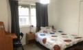 Burwood East 招租 - 新装修/包家具（5房 House)