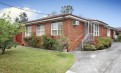 Balwyn North 高性价比两房两卫整租或分租 Balwyn North 高性价比两房两卫整租或分租
