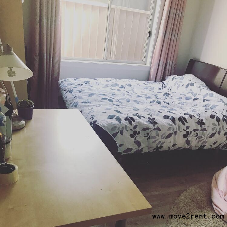 Rosebery     近UNSW City超大单人间出租