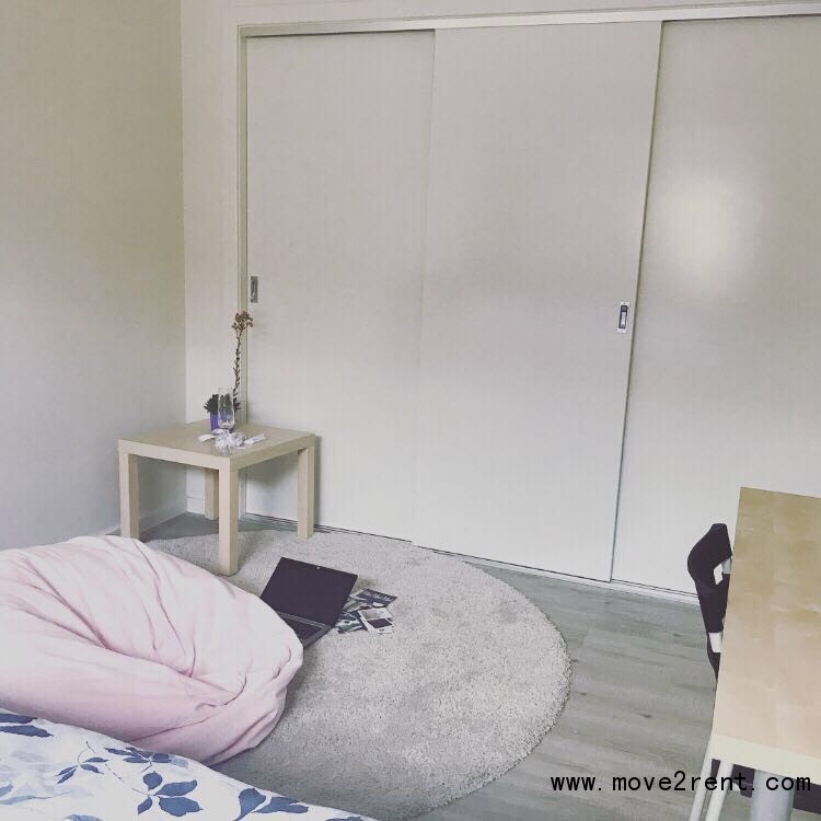 Rosebery     近UNSW City超大单人间出租